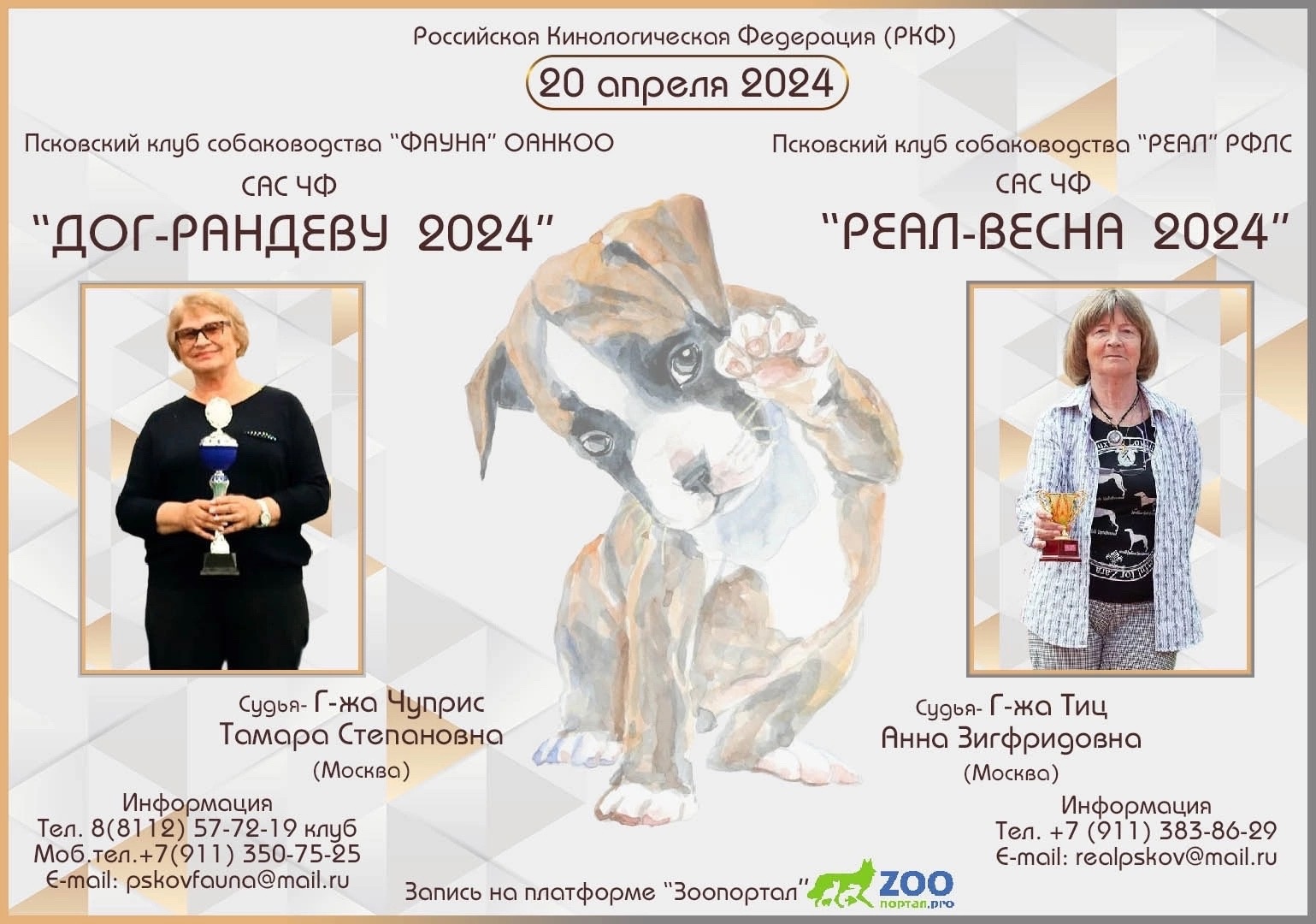 РЕАЛ - ВЕСНА 2024. Выставка собак в Пскове 20 апреля 2024. #1703