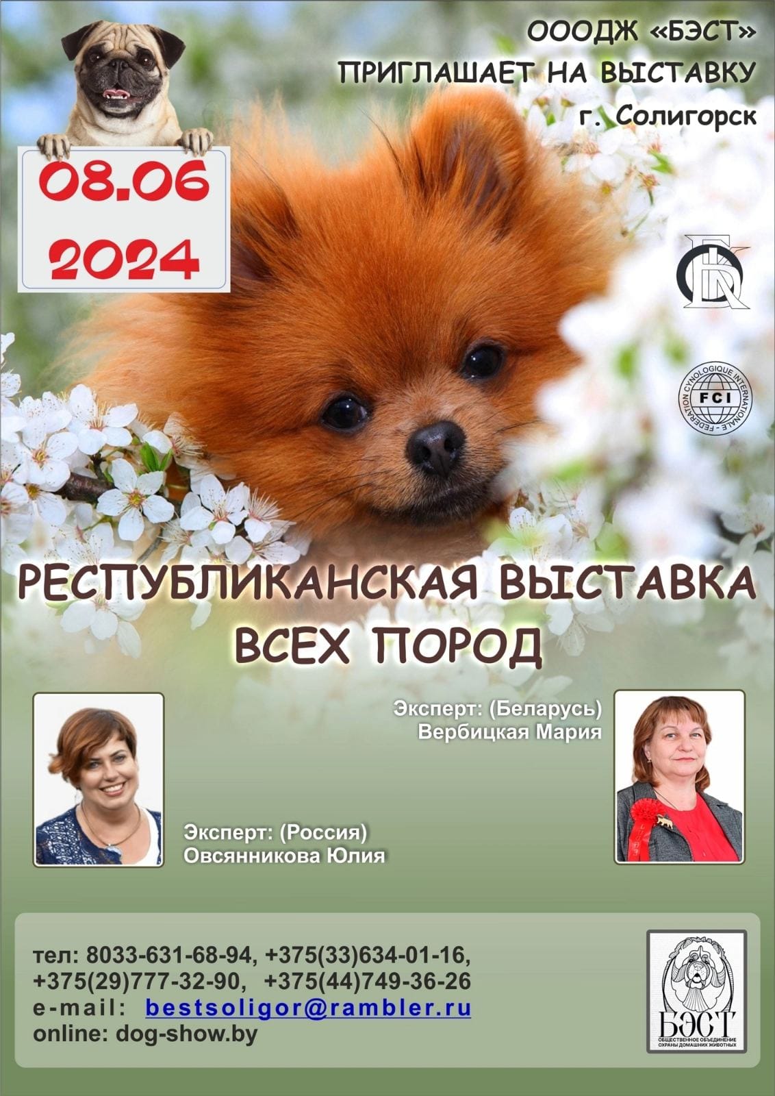 ООЛЖ «Виктория». Выставка собак в Молодечно в Минской области 16 июня 2024.  #1845