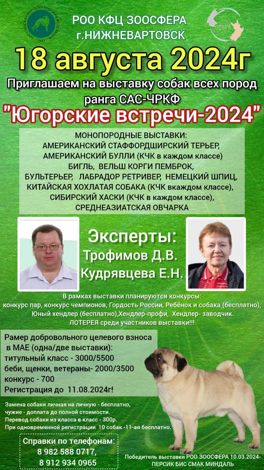 Югорские встречи-2024. Выставка собак в Нижневартовске в Ханты-Мансийском  автономном округе - Югре 18 августа 2024. #1872 - PetsMan