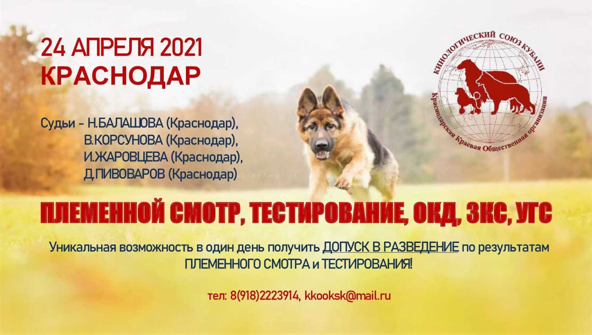 Зоопортал выставки краснодар 2023